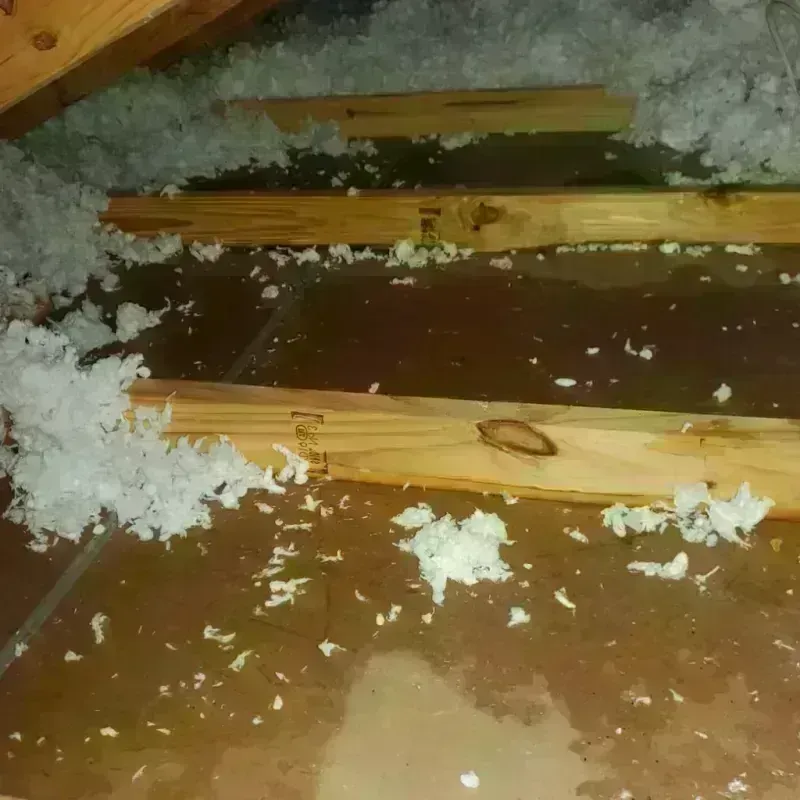 Attic Water Damage in Glendive, MT