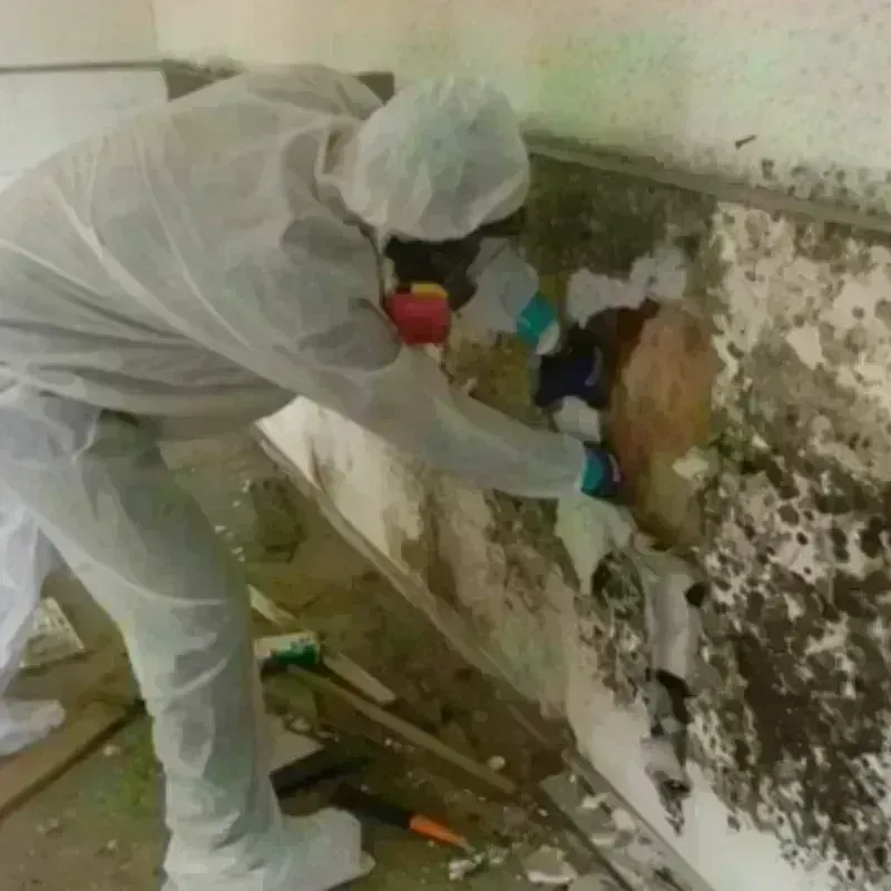 Mold Remediation and Removal in Glendive, MT